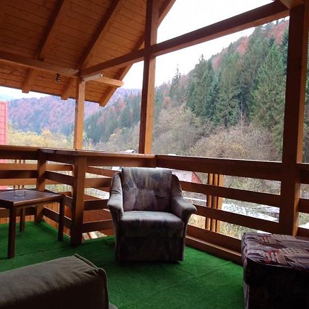 Pensiunea Aurora - Great Hostel 보이네아사 외부 사진