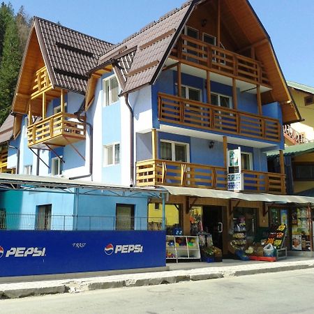 Pensiunea Aurora - Great Hostel 보이네아사 외부 사진