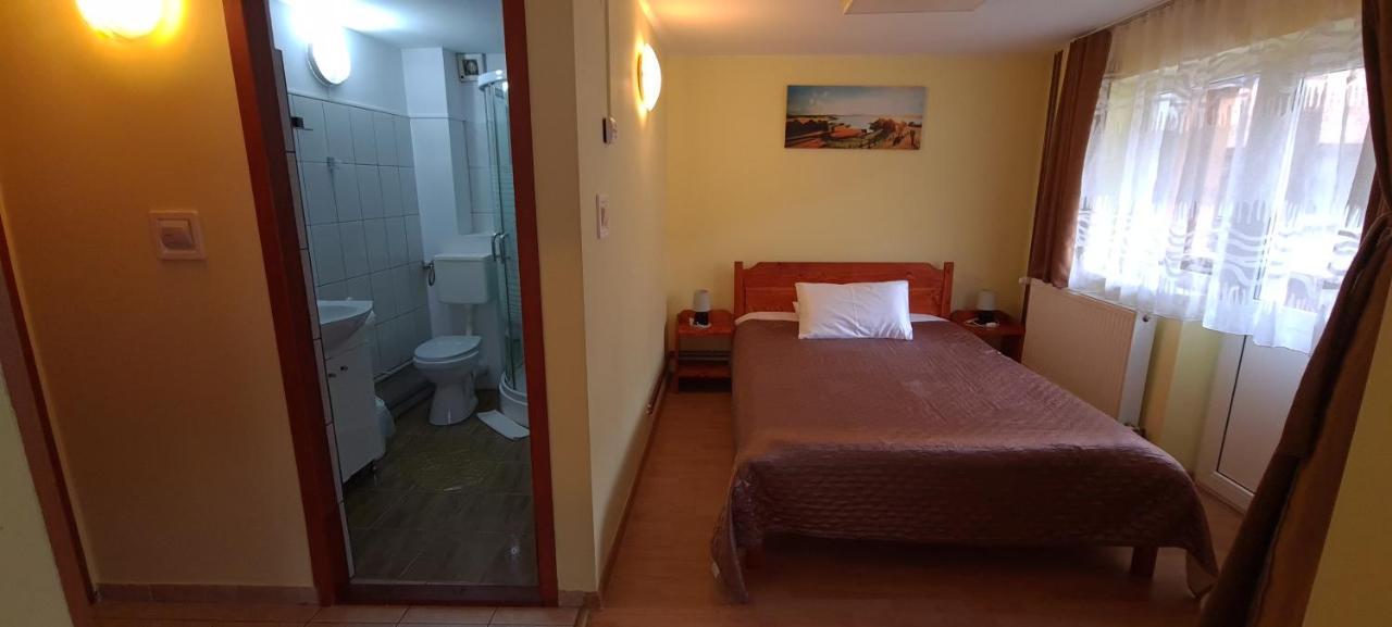 Pensiunea Aurora - Great Hostel 보이네아사 외부 사진