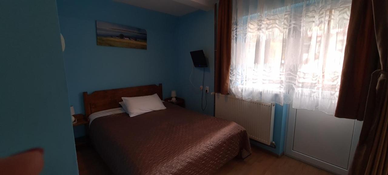 Pensiunea Aurora - Great Hostel 보이네아사 외부 사진
