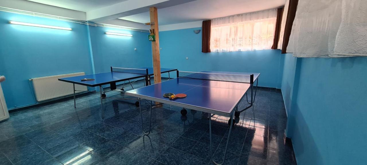 Pensiunea Aurora - Great Hostel 보이네아사 외부 사진