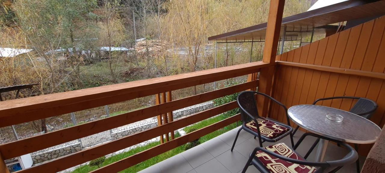 Pensiunea Aurora - Great Hostel 보이네아사 외부 사진