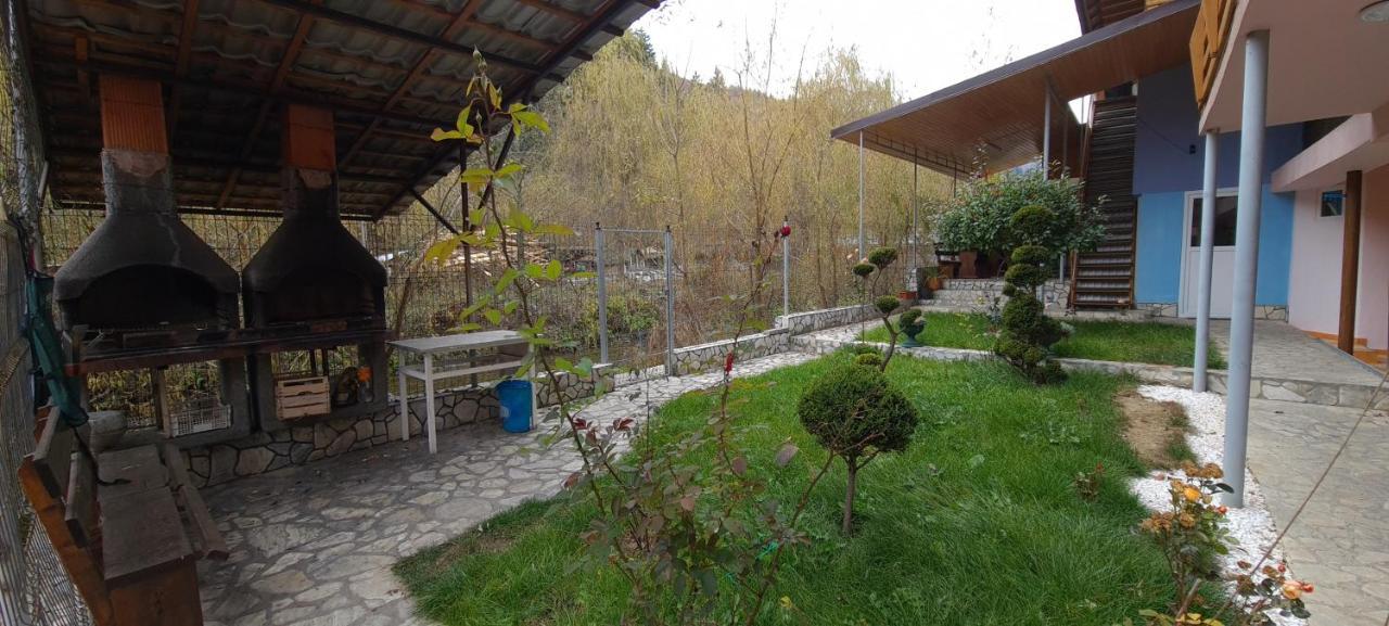 Pensiunea Aurora - Great Hostel 보이네아사 외부 사진