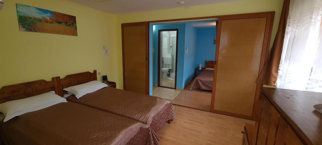 Pensiunea Aurora - Great Hostel 보이네아사 외부 사진