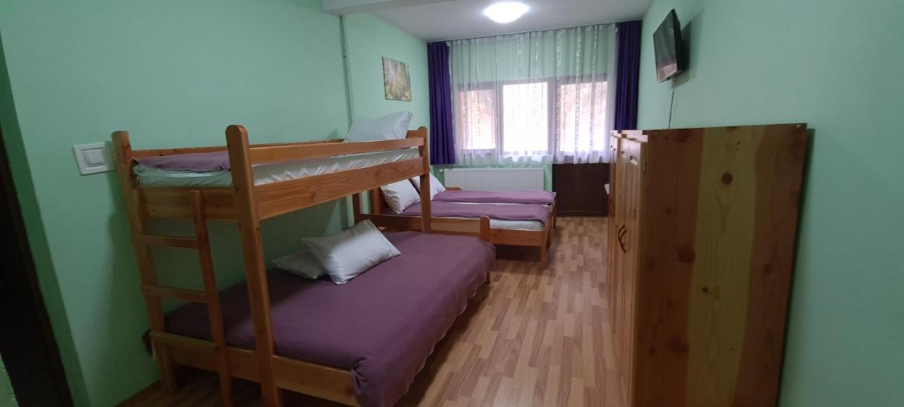 Pensiunea Aurora - Great Hostel 보이네아사 외부 사진
