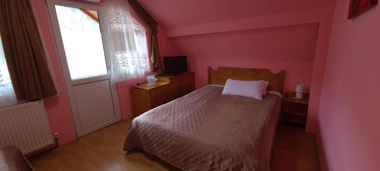 Pensiunea Aurora - Great Hostel 보이네아사 외부 사진