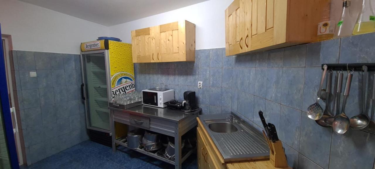 Pensiunea Aurora - Great Hostel 보이네아사 외부 사진