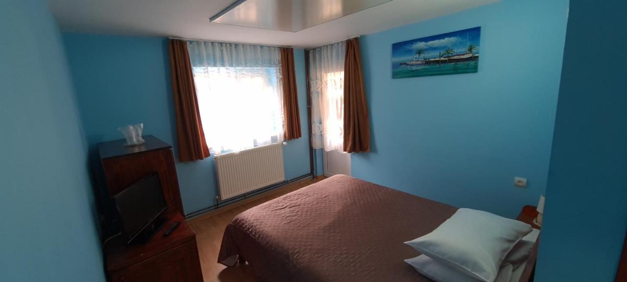 Pensiunea Aurora - Great Hostel 보이네아사 외부 사진