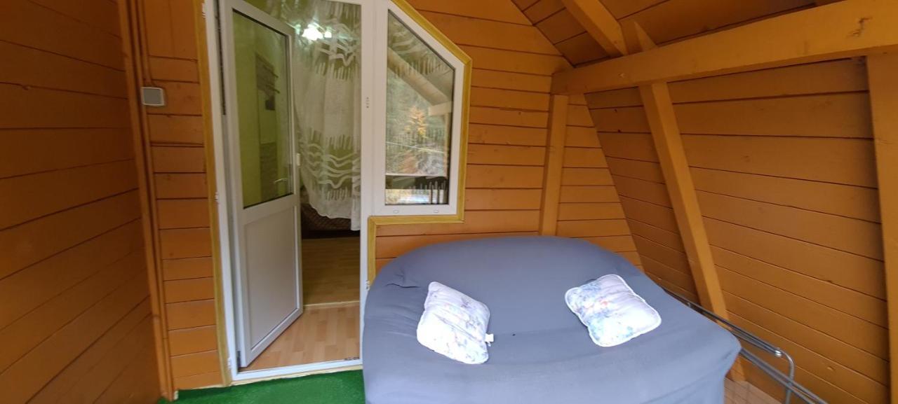 Pensiunea Aurora - Great Hostel 보이네아사 외부 사진