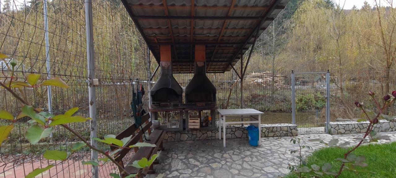 Pensiunea Aurora - Great Hostel 보이네아사 외부 사진