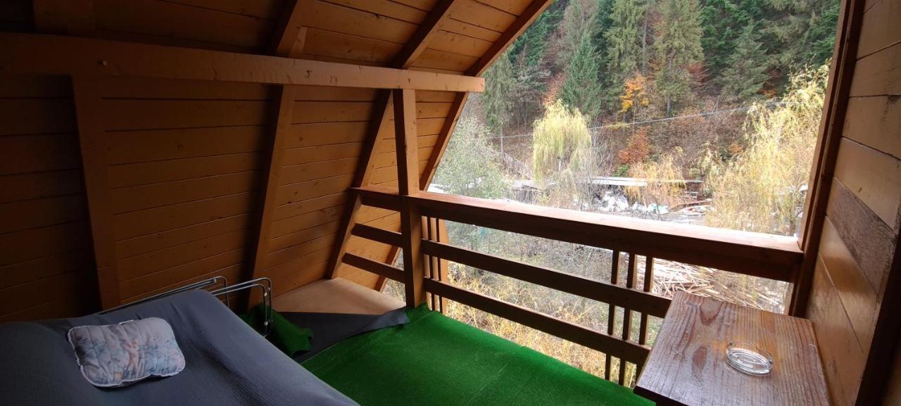 Pensiunea Aurora - Great Hostel 보이네아사 외부 사진