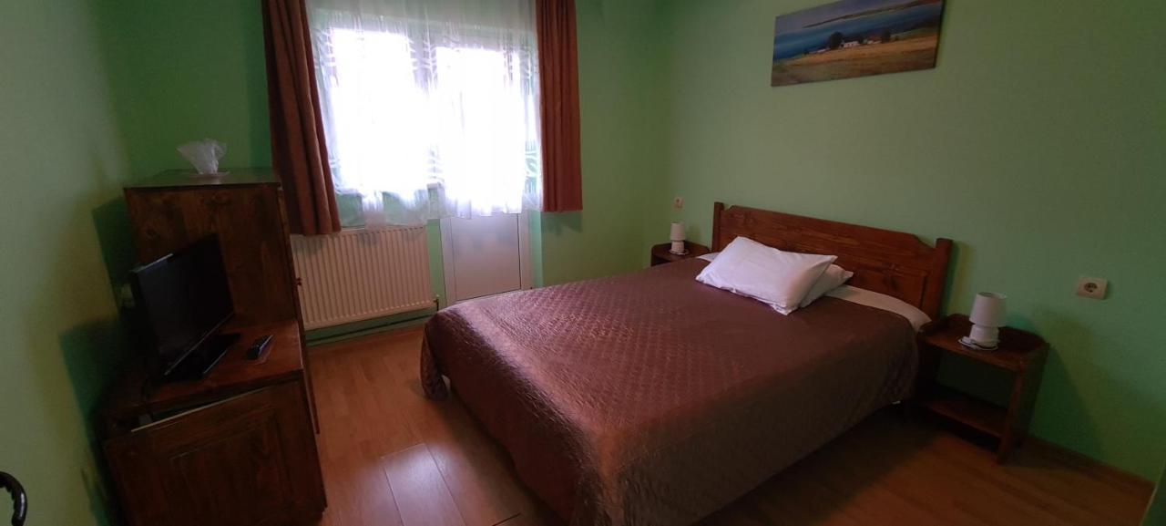 Pensiunea Aurora - Great Hostel 보이네아사 외부 사진