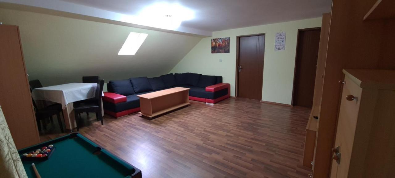 Pensiunea Aurora - Great Hostel 보이네아사 외부 사진