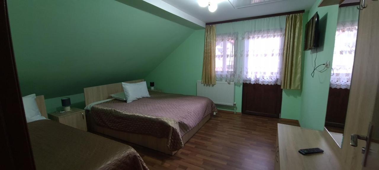 Pensiunea Aurora - Great Hostel 보이네아사 외부 사진