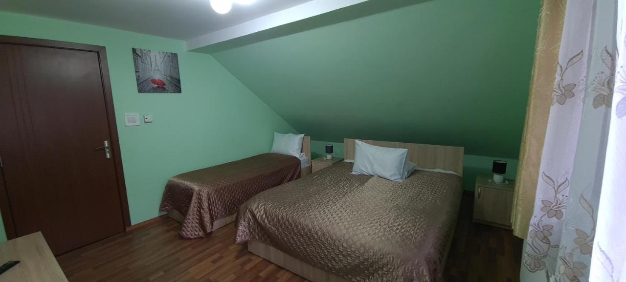 Pensiunea Aurora - Great Hostel 보이네아사 외부 사진