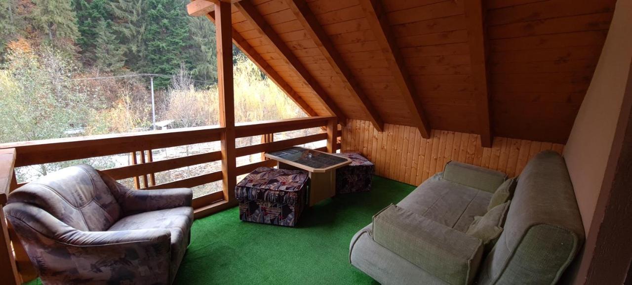 Pensiunea Aurora - Great Hostel 보이네아사 외부 사진