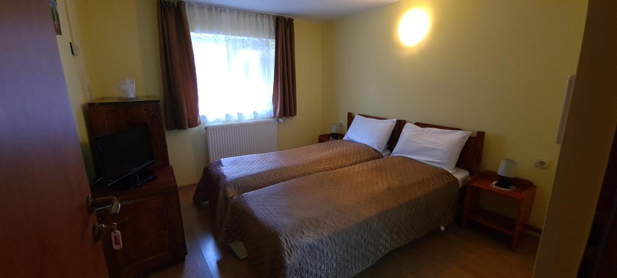 Pensiunea Aurora - Great Hostel 보이네아사 외부 사진