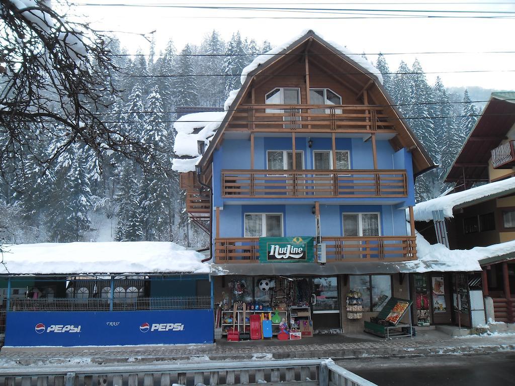 Pensiunea Aurora - Great Hostel 보이네아사 외부 사진