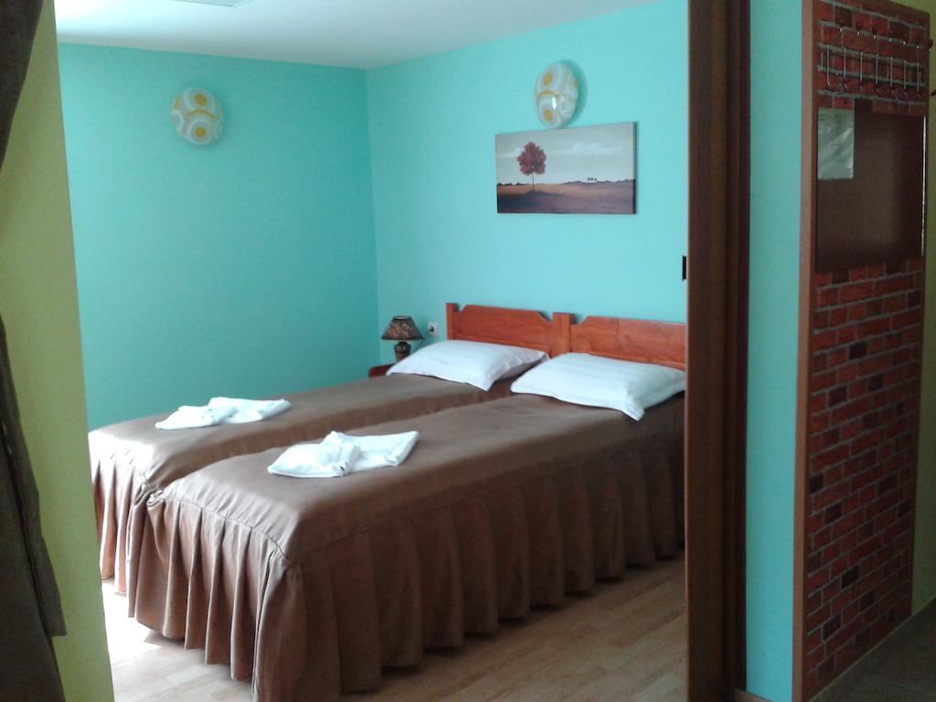 Pensiunea Aurora - Great Hostel 보이네아사 객실 사진