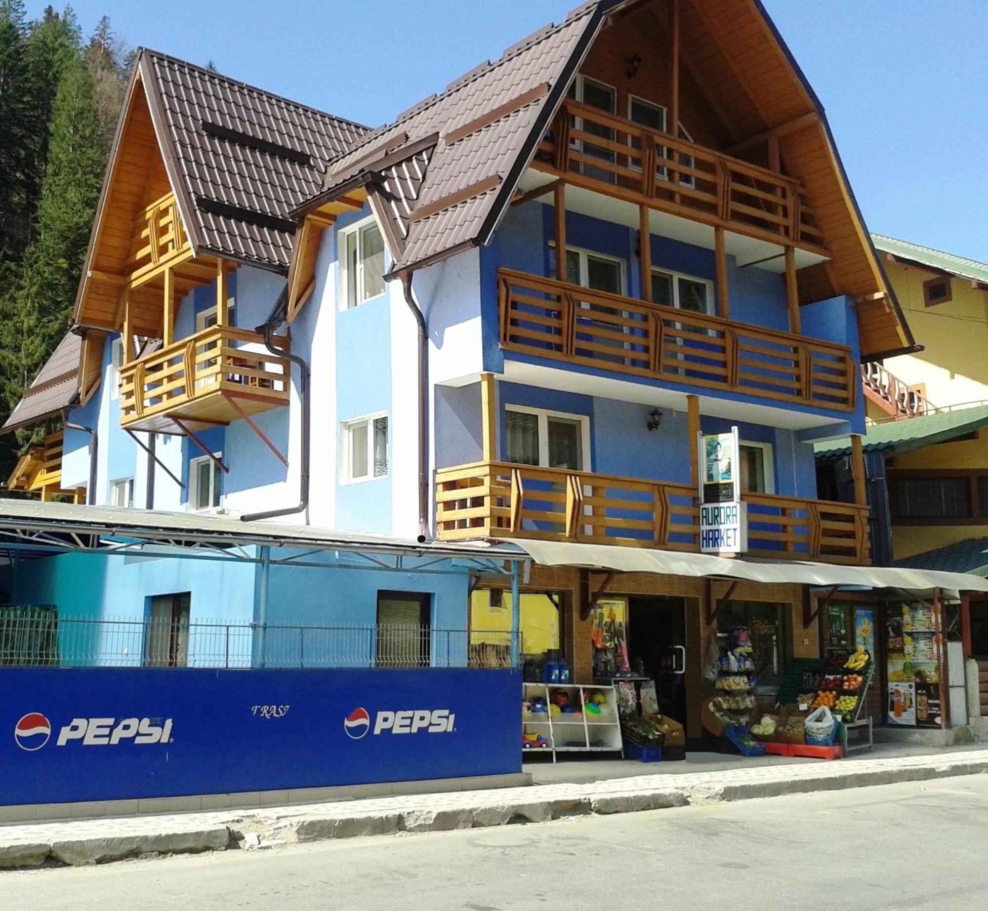 Pensiunea Aurora - Great Hostel 보이네아사 외부 사진