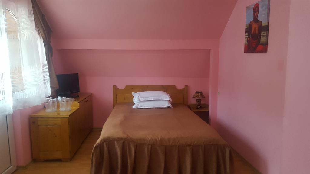 Pensiunea Aurora - Great Hostel 보이네아사 외부 사진