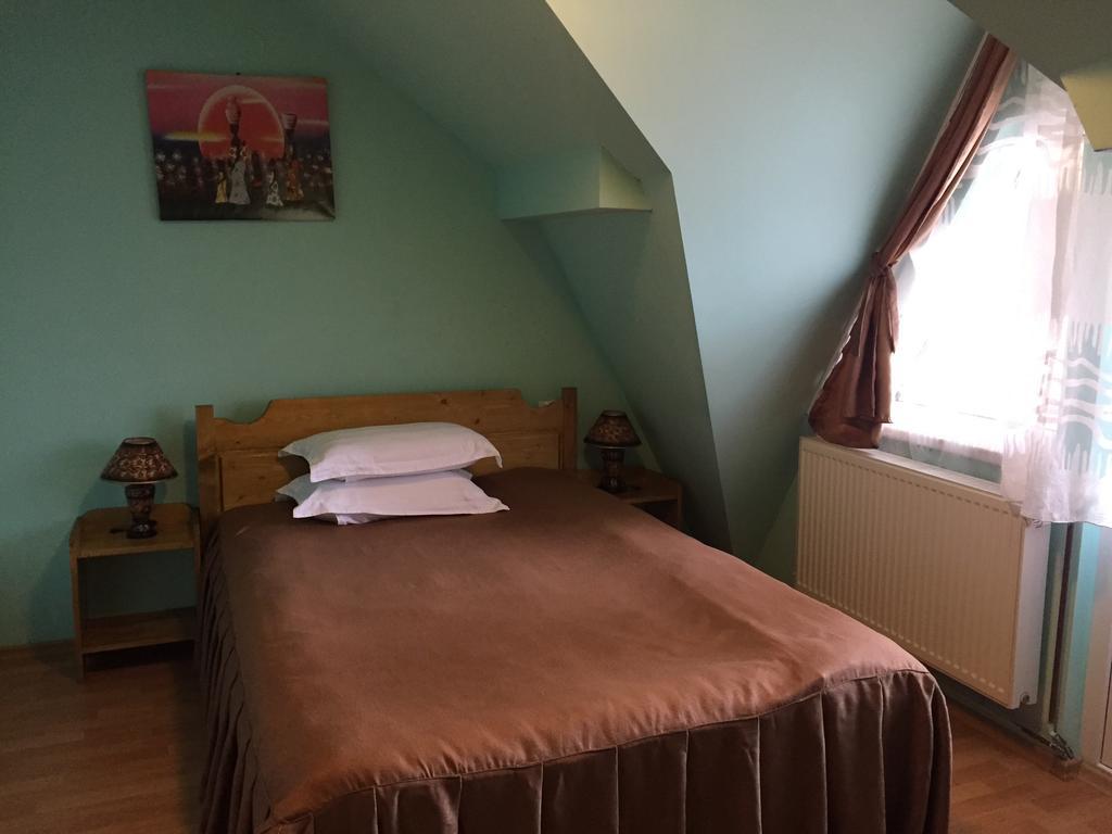 Pensiunea Aurora - Great Hostel 보이네아사 외부 사진